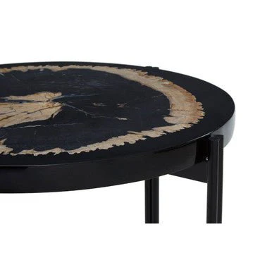 Relic Petrified Wood and Resin Side Table - Image 9