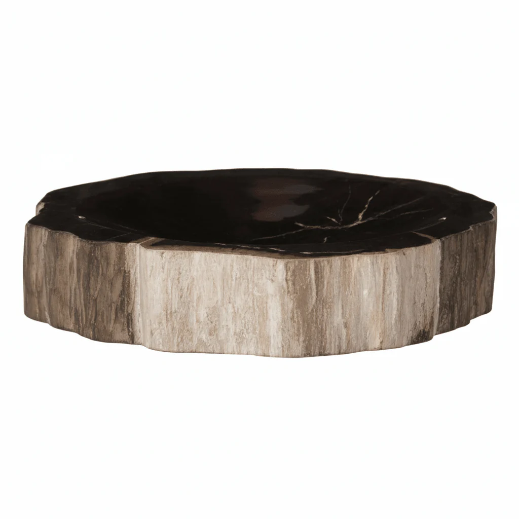 Relic Petrified Wood Bowl - Image 6