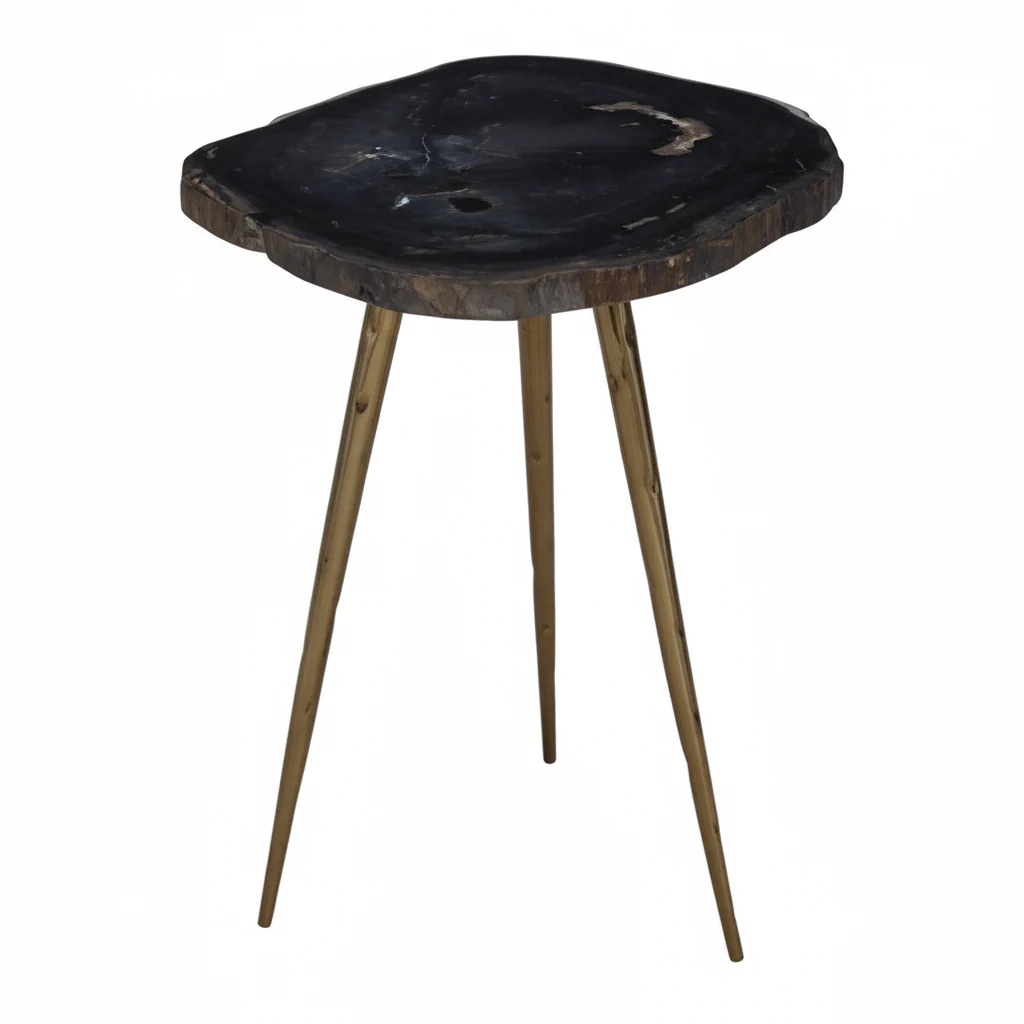 Relic Side Table With Petrified Wood Top and Brass Finish Legs