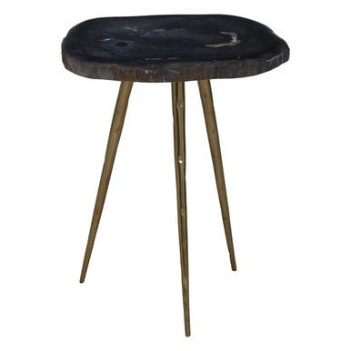 Relic Side Table With Petrified Wood Top and Brass Finish Legs - Image 10
