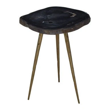 Relic Side Table With Petrified Wood Top and Brass Finish Legs - Image 5
