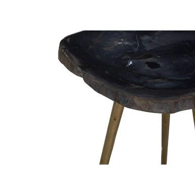 Relic Side Table With Petrified Wood Top and Brass Finish Legs - Image 6