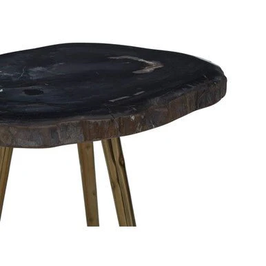Relic Side Table With Petrified Wood Top and Brass Finish Legs - Image 7