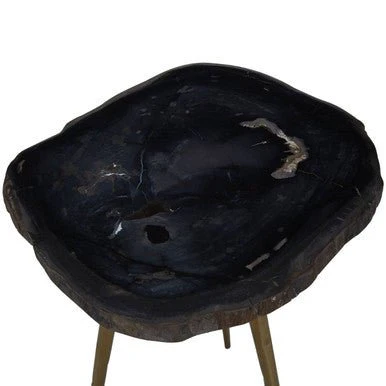 Relic Side Table With Petrified Wood Top and Brass Finish Legs - Image 9