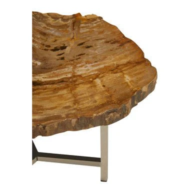 Relic Small Petrified Wood Side Table - Image 11