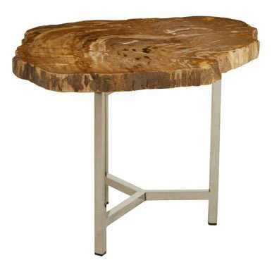 Relic Small Petrified Wood Side Table - Image 5