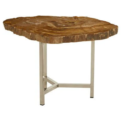 Relic Small Petrified Wood Side Table - Image 7