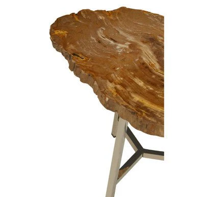 Relic Small Petrified Wood Side Table - Image 9