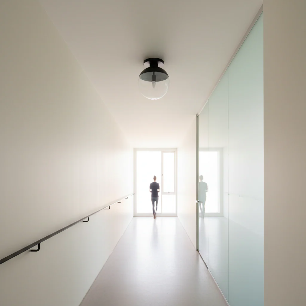 Revive Black Finish Ceiling Light - Image 2