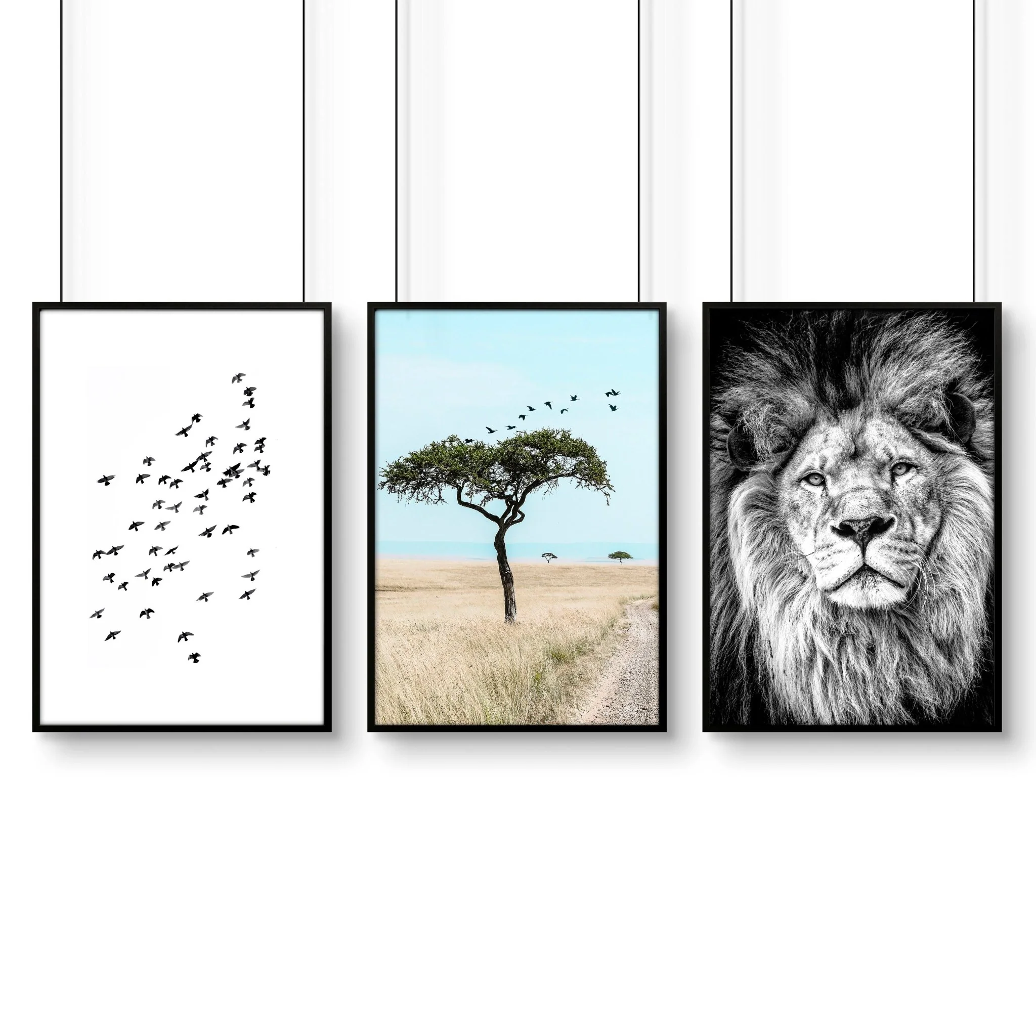 Safari Accessories For Bedroom | Set of 3 African Wildlife Wall art Prints - Image 11