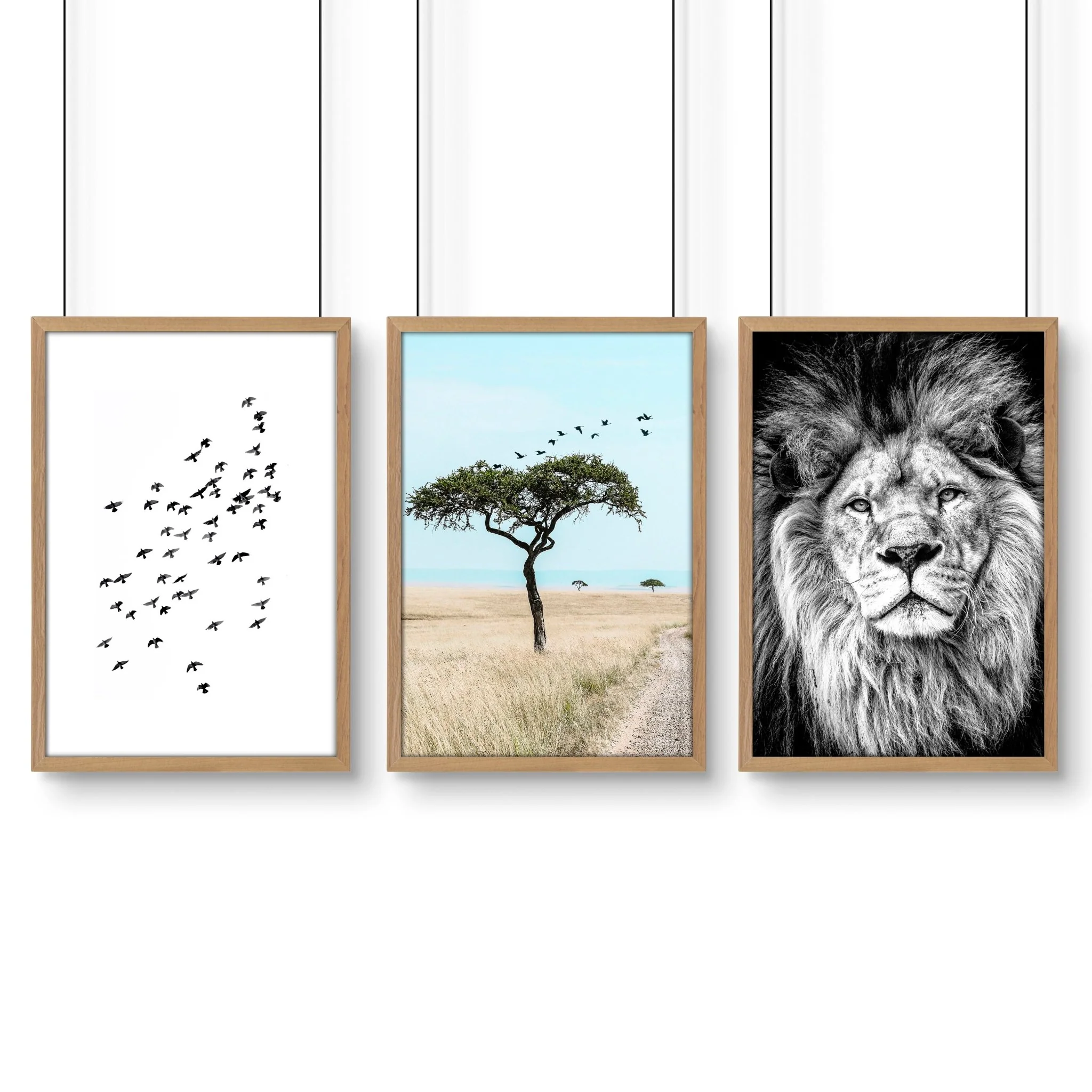 Safari Accessories For Bedroom | Set of 3 African Wildlife Wall art Prints - Image 12