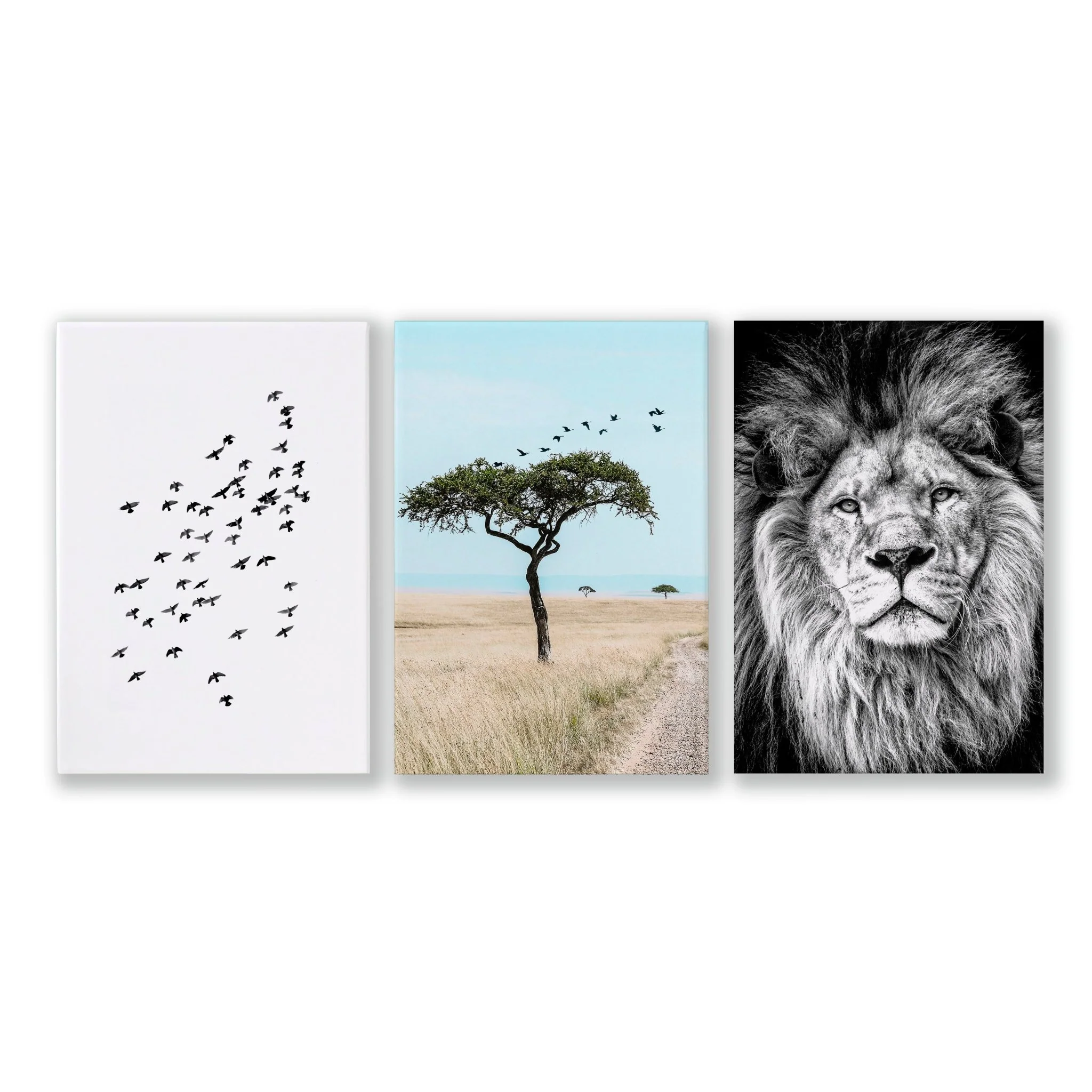 Safari Accessories For Bedroom | Set of 3 African Wildlife Wall art Prints - Image 14
