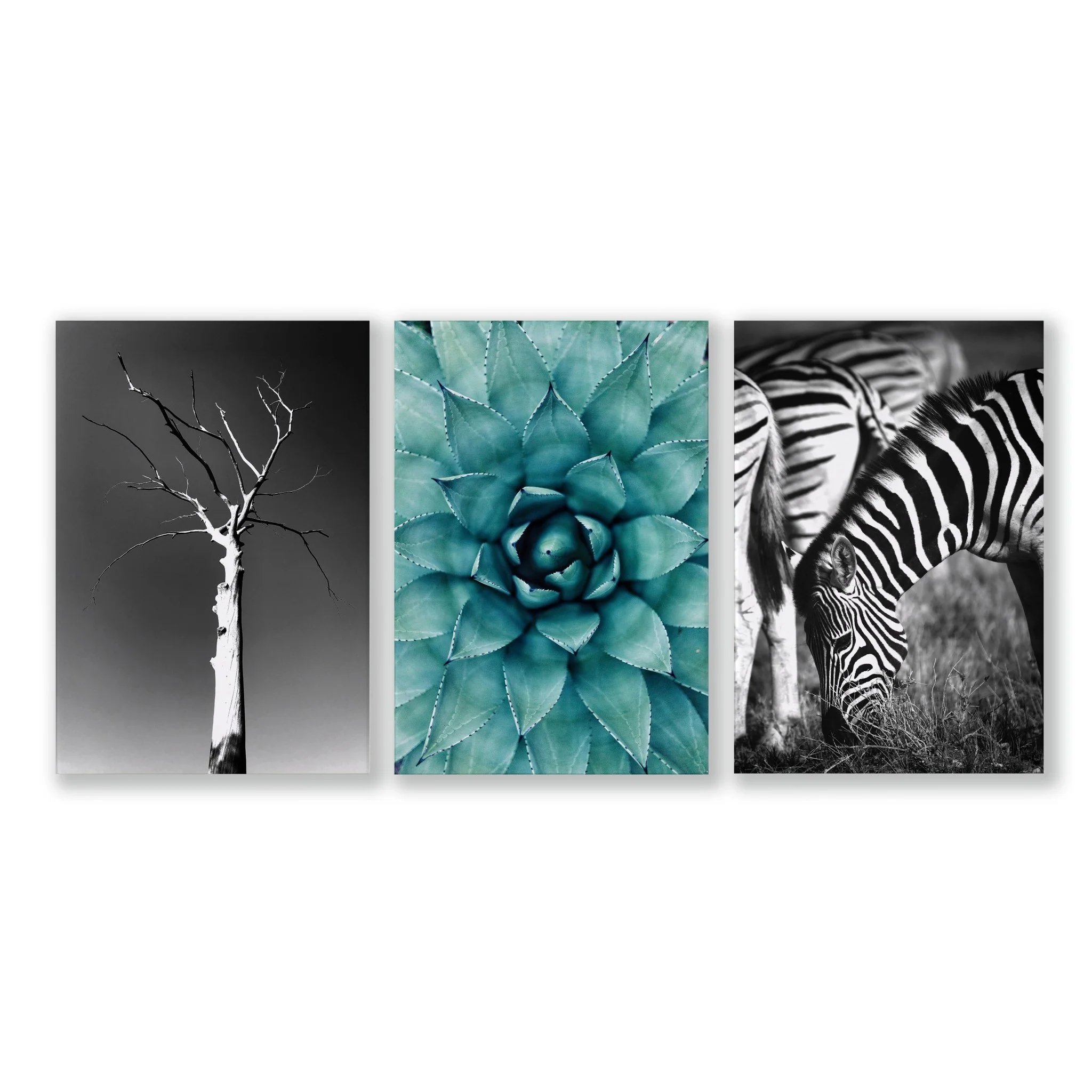 Safari Bedroom | Set of 3 African Wildlife Wall art Prints - Image 13