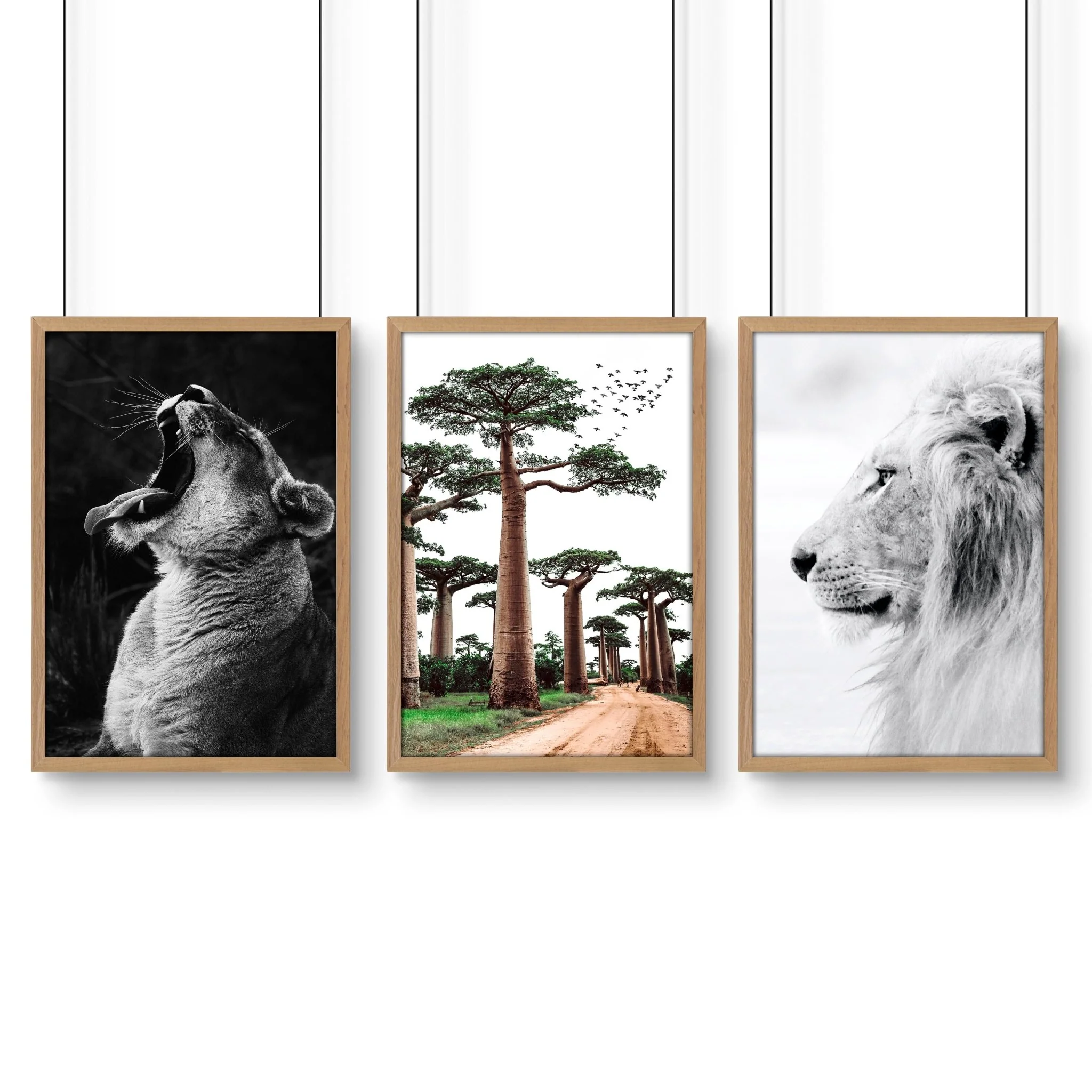 Safari Bedrooms | Set of 3 African Wildlife Wall art Prints - Image 13