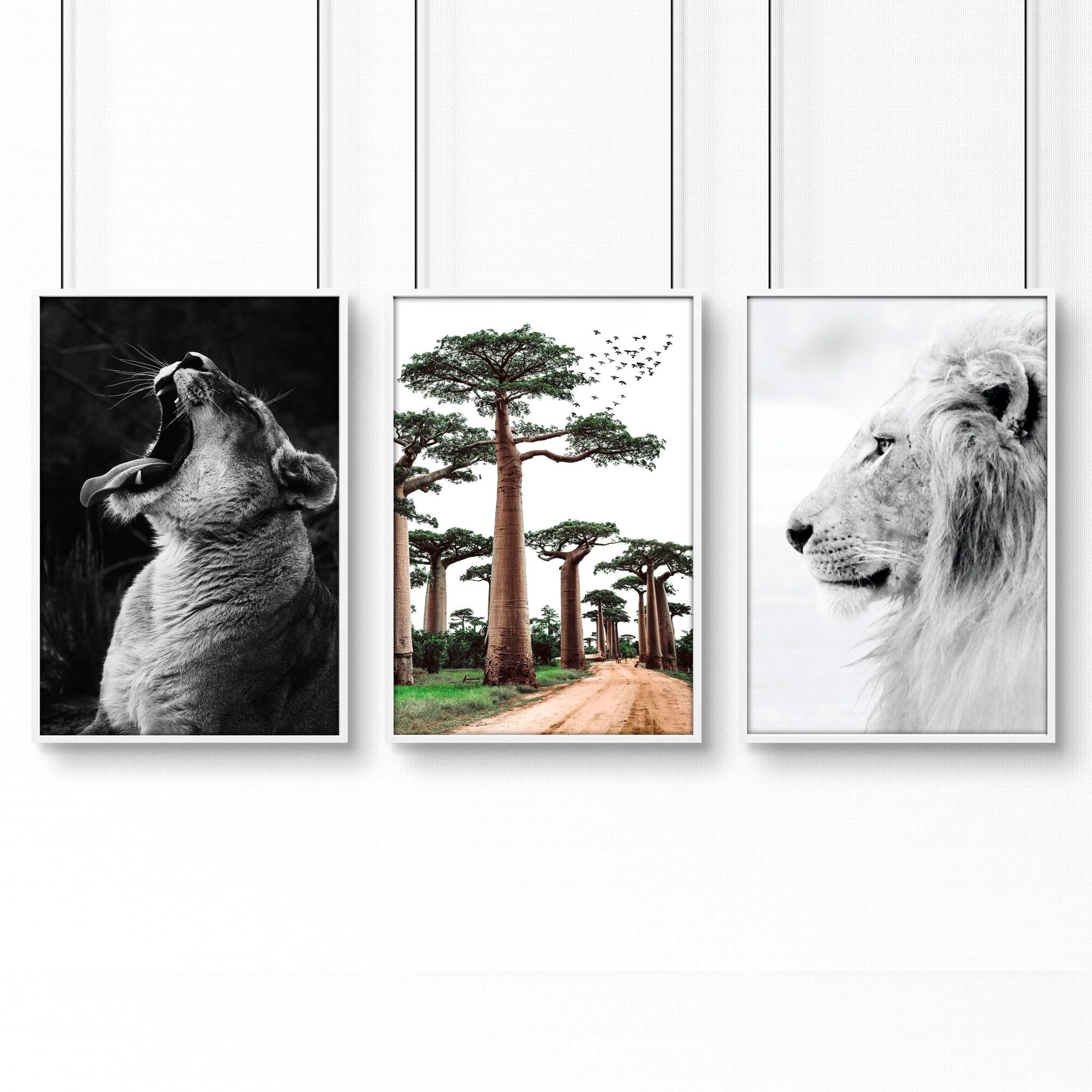 Safari Bedrooms | Set of 3 African Wildlife Wall art Prints - Image 14