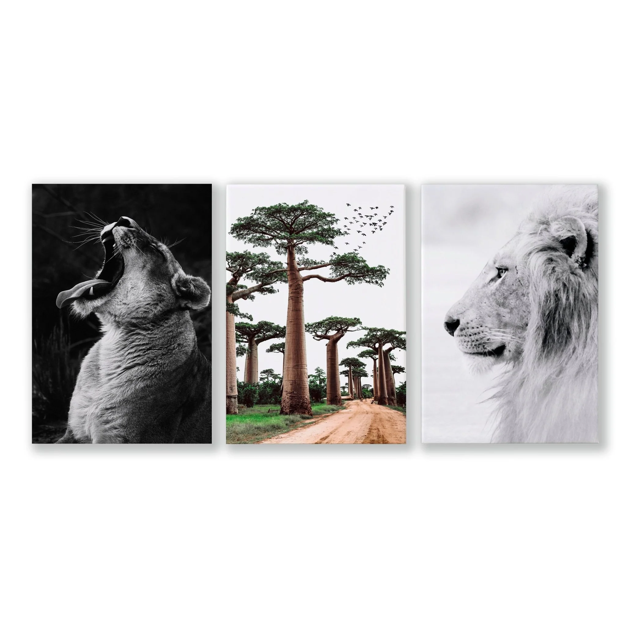Safari Bedrooms | Set of 3 African Wildlife Wall art Prints - Image 15