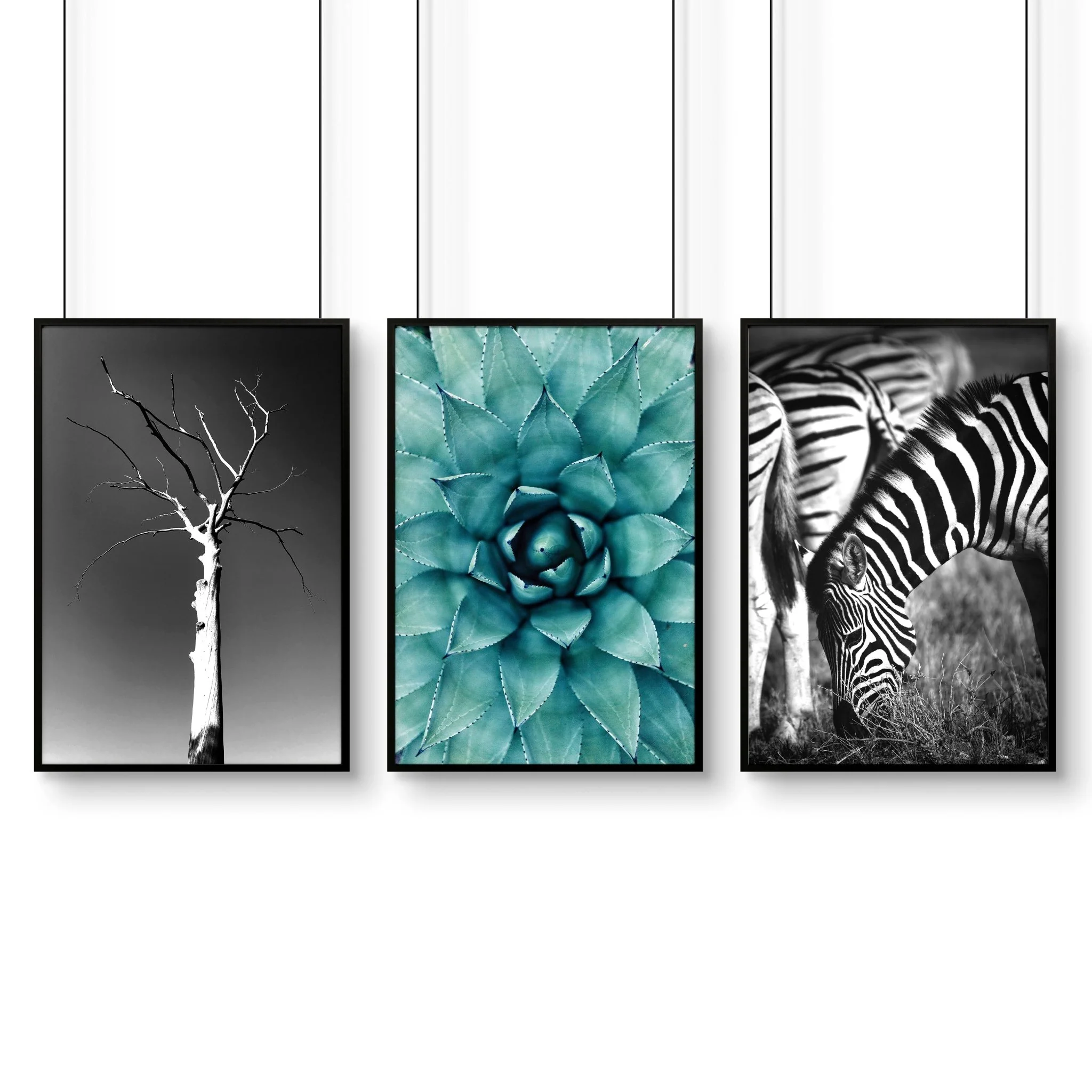 Soothing Wall Art | Set of 3 African Wildlife Wall art Prints - Image 12