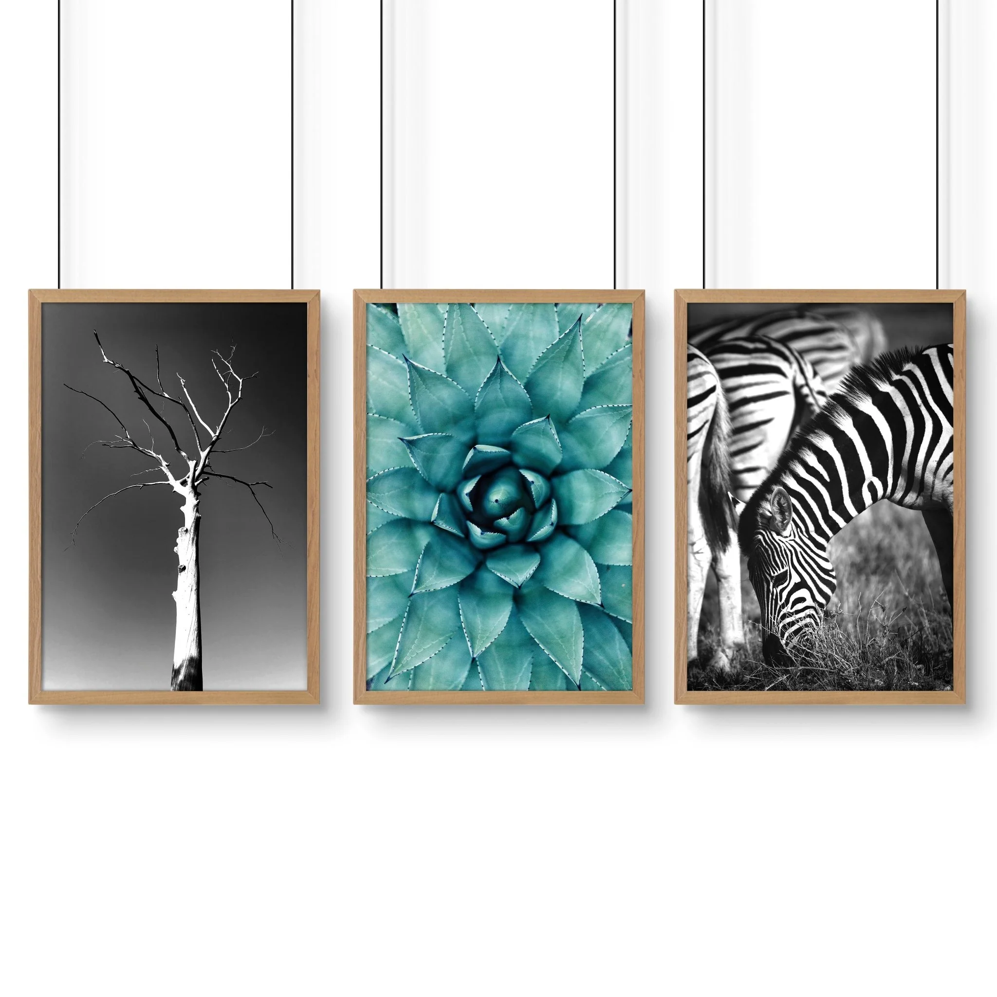 Soothing Wall Art | Set of 3 African Wildlife Wall art Prints - Image 13