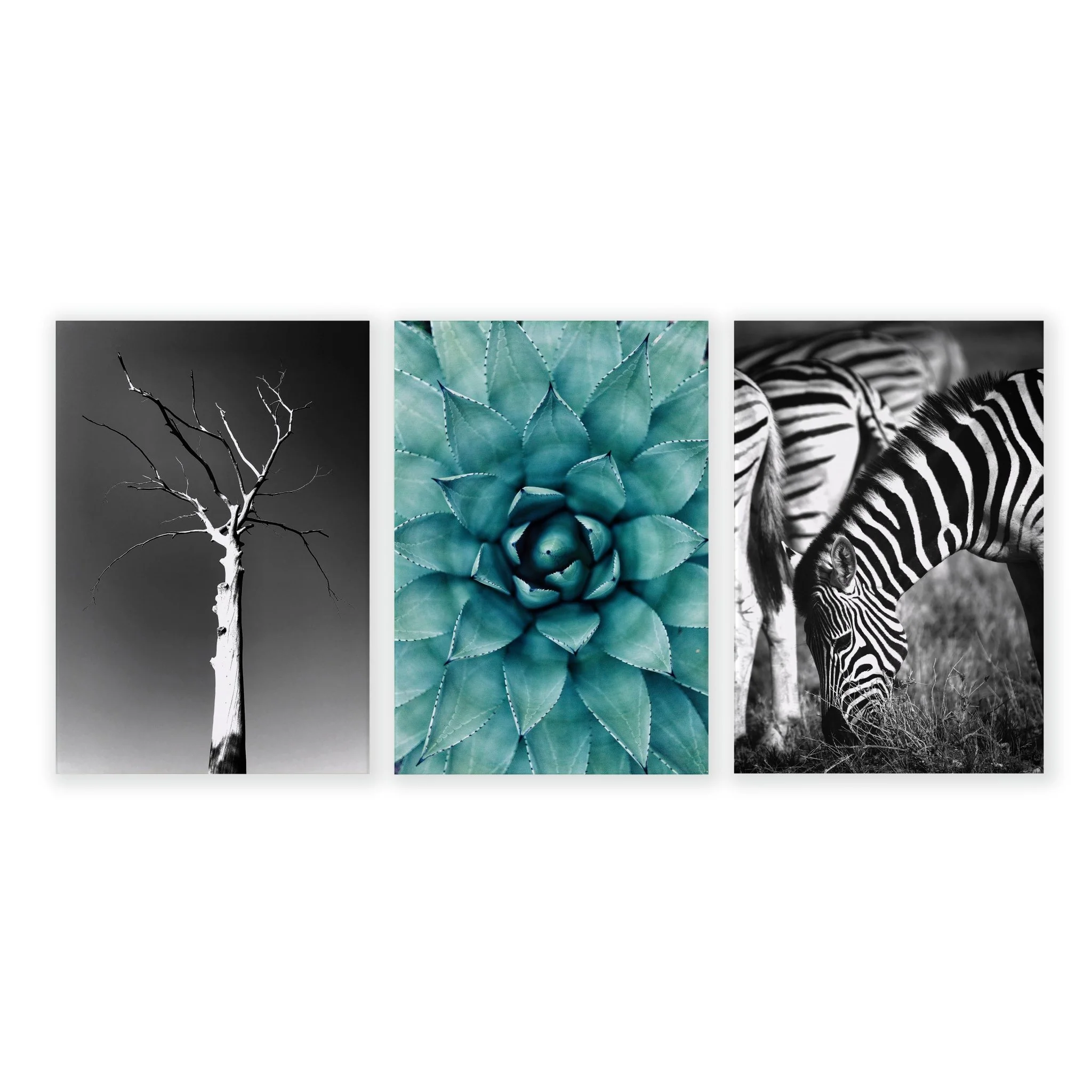 Soothing Wall Art | Set of 3 African Wildlife Wall art Prints - Image 15