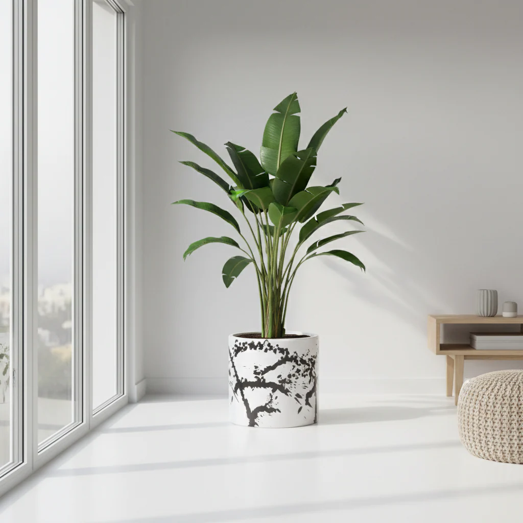 Sorrell Black And White Large Planter - Image 3