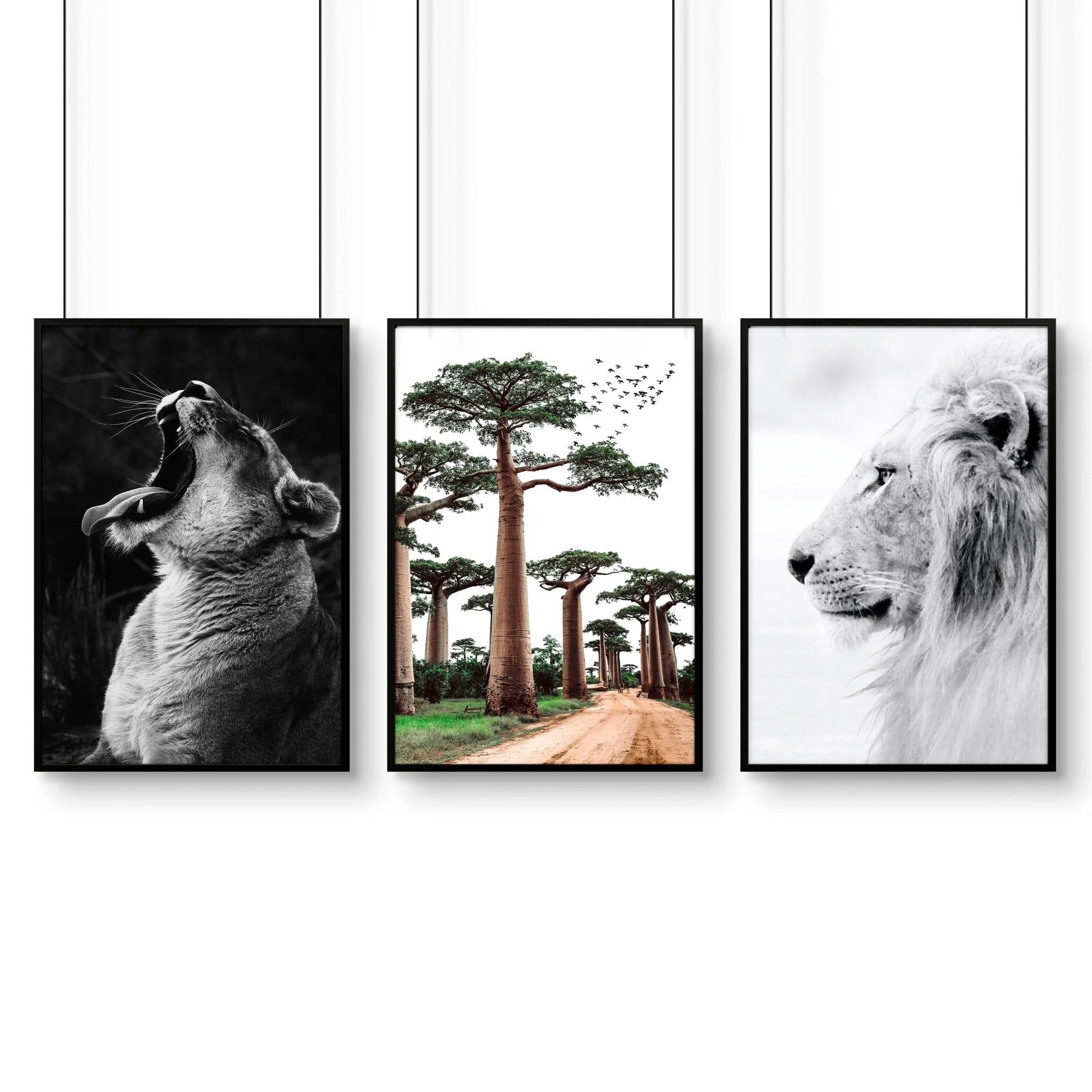 Wall Art For Living Room Canvas | Set of 3 African Wildlife Wall art Prints - Image 16