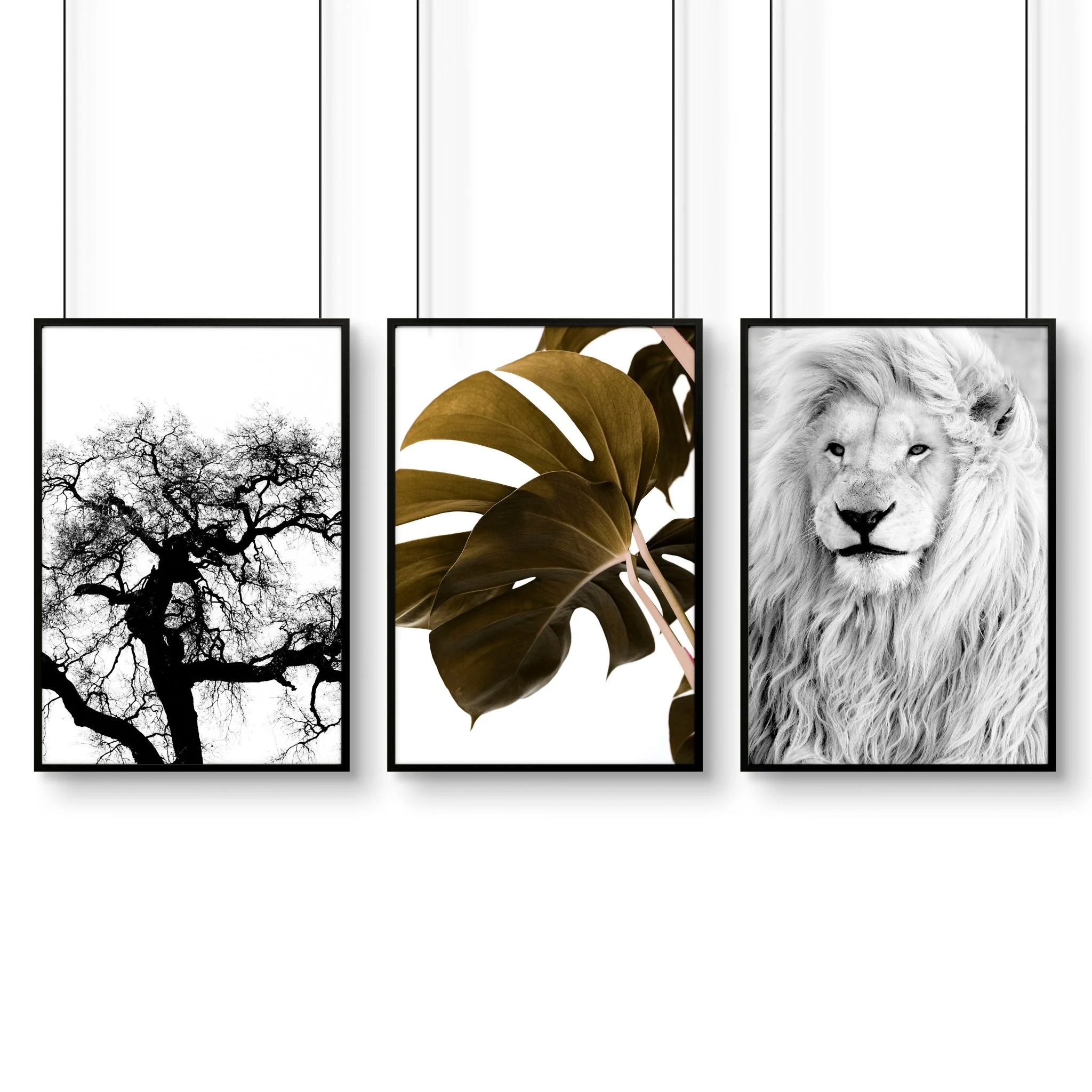 Wall Art Ideas For Living Room | Set of 3 African Wildlife Wall art Prints - Image 16