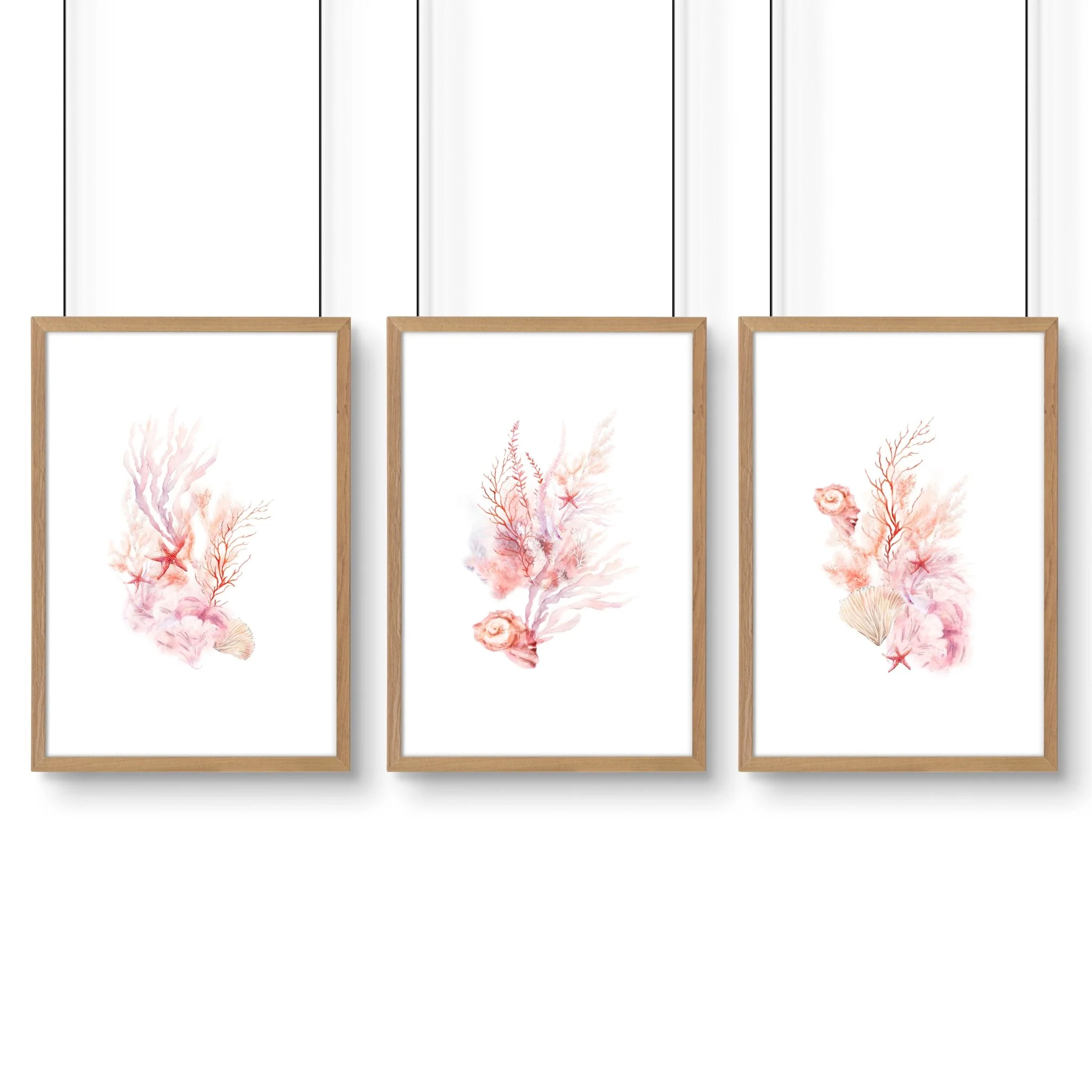 Wall Art Sea | Set of 3 Seashells Wall art Prints - Image 13