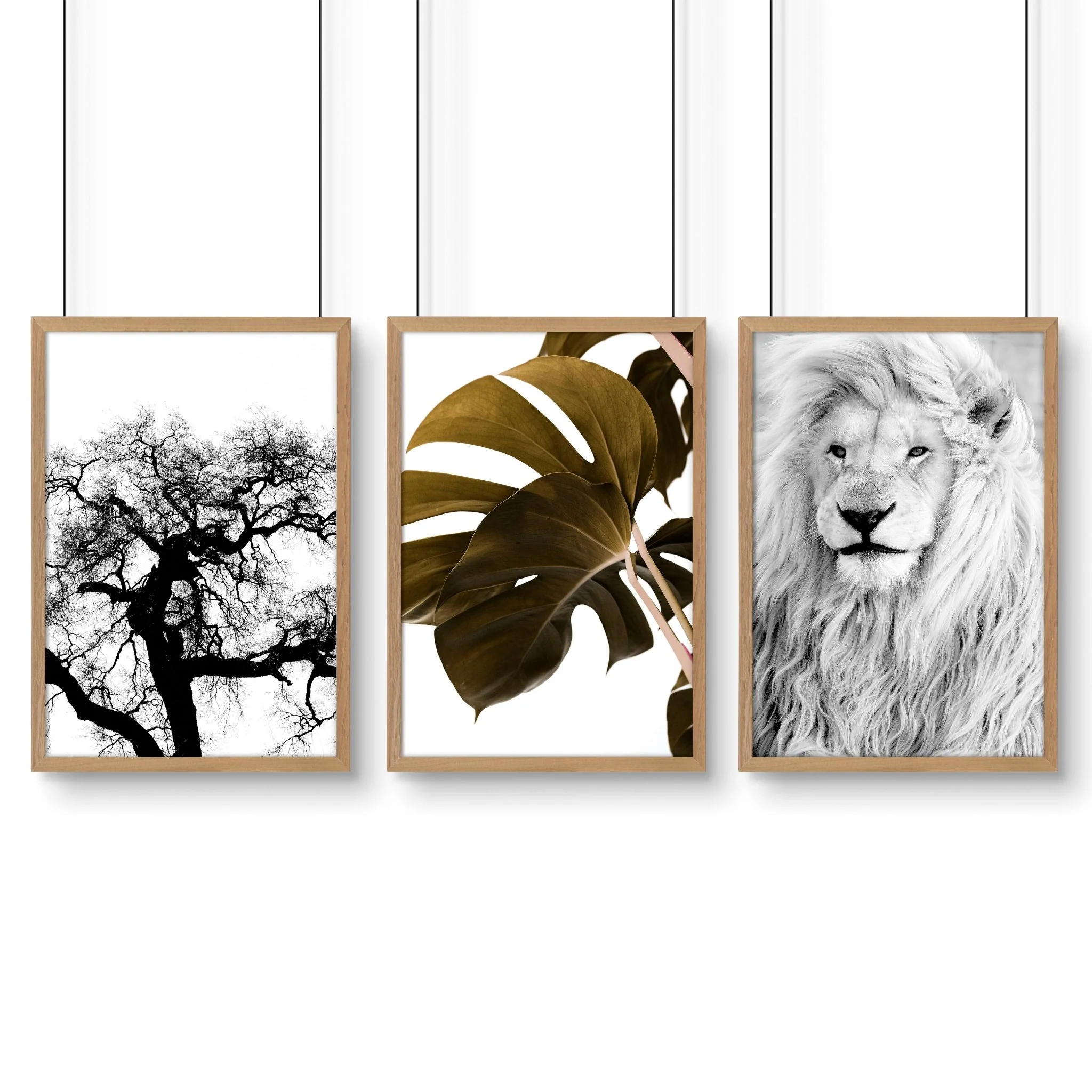 Wall Hanging Art | Set of 3 African Wildlife Wall art Prints - Image 16