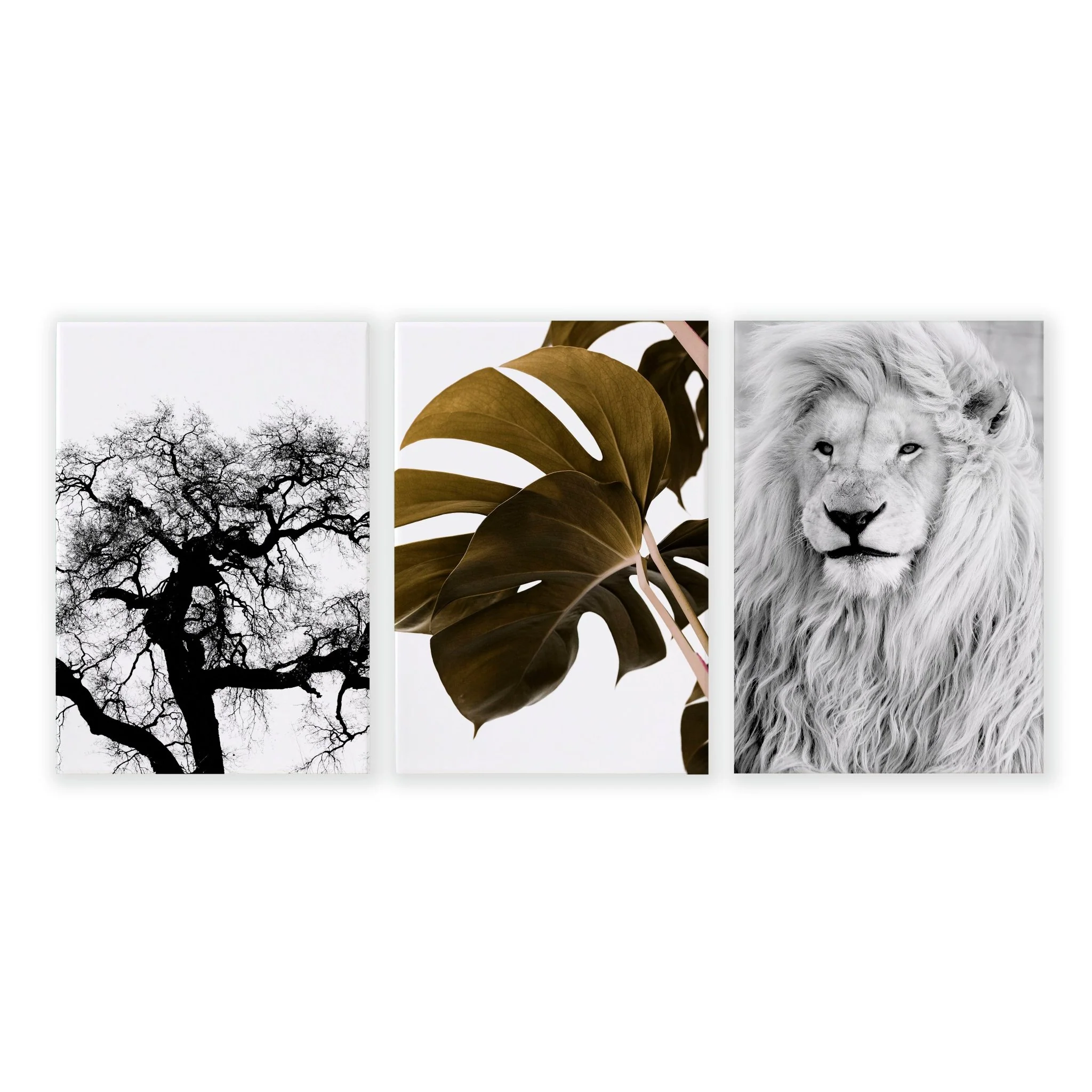 Wall Hanging Art | Set of 3 African Wildlife Wall art Prints - Image 18