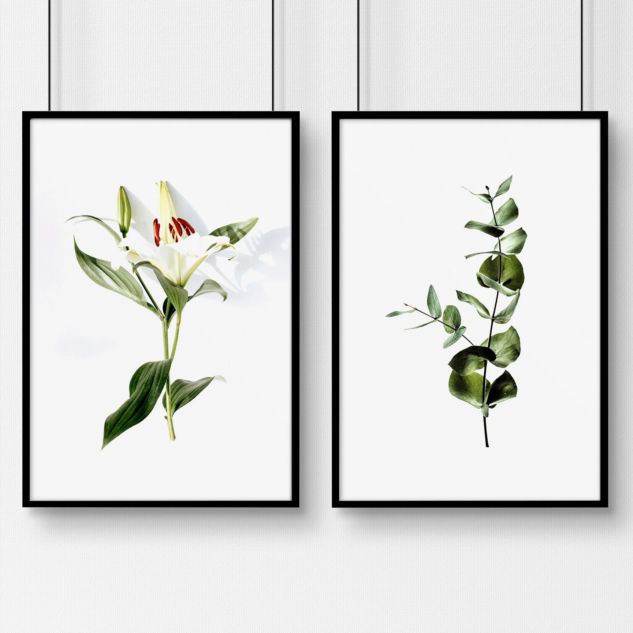 Wall prints for living room | Set of 2 Botanical wall art - Image 6